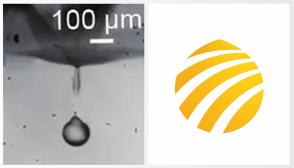 官宣 | 博天堂网址官方LOGO全「新」亮相！