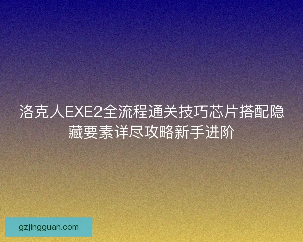 洛克人EXE2全流程通关技巧芯片搭配隐藏要素详尽攻略新手进阶