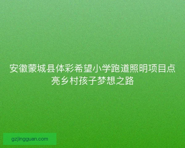 安徽蒙城县体彩希望小学跑道照明项目点亮乡村孩子梦想之路